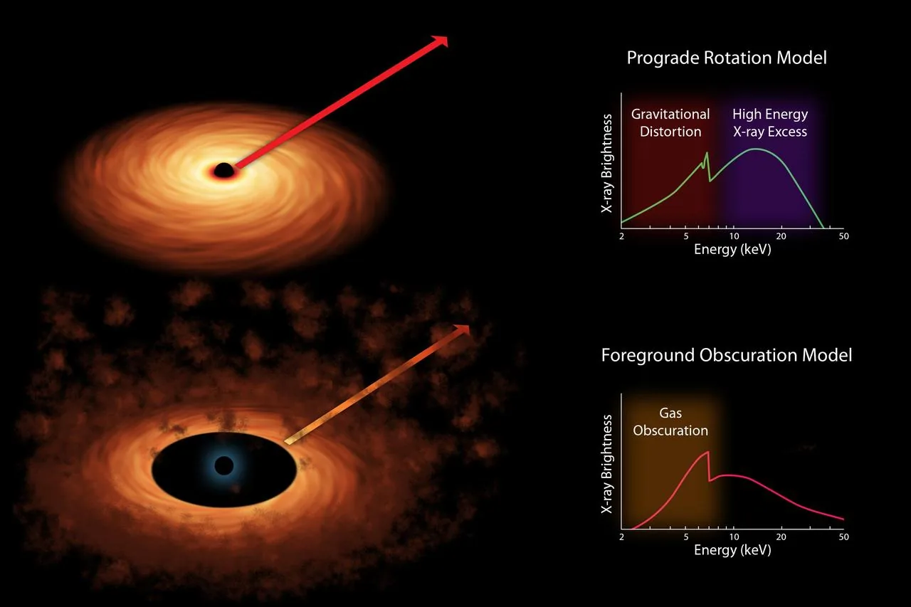 Simulation of a black hole's accretion disc — the source of the gravitational waves detected by LIGO and Virgo when two such objects merge