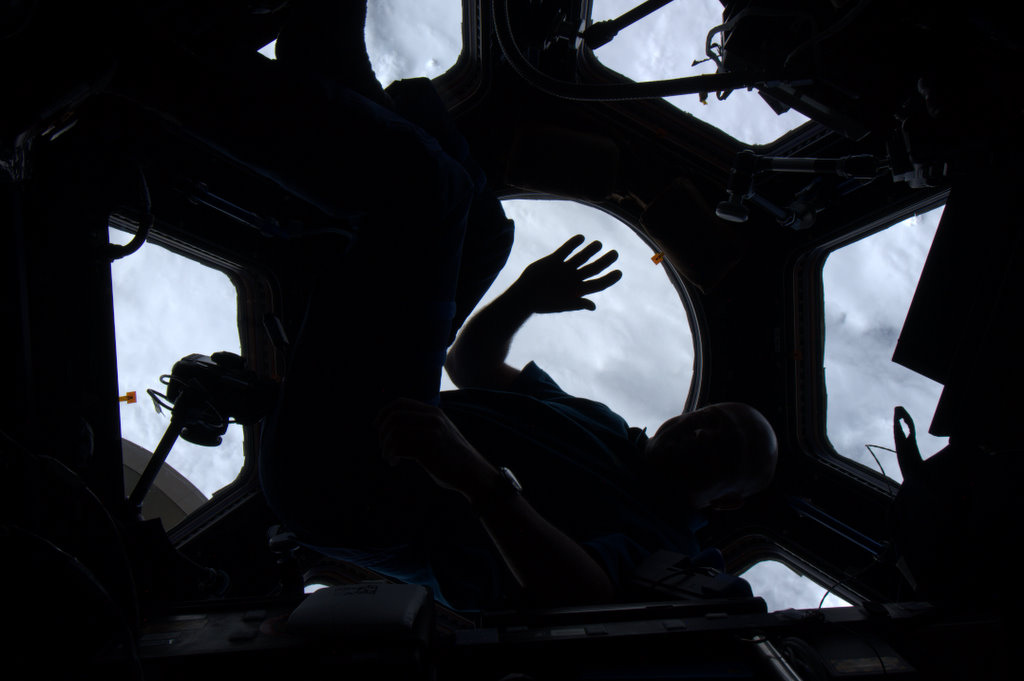 André Kuipers aboard the International Space Station during his PromISSe mission