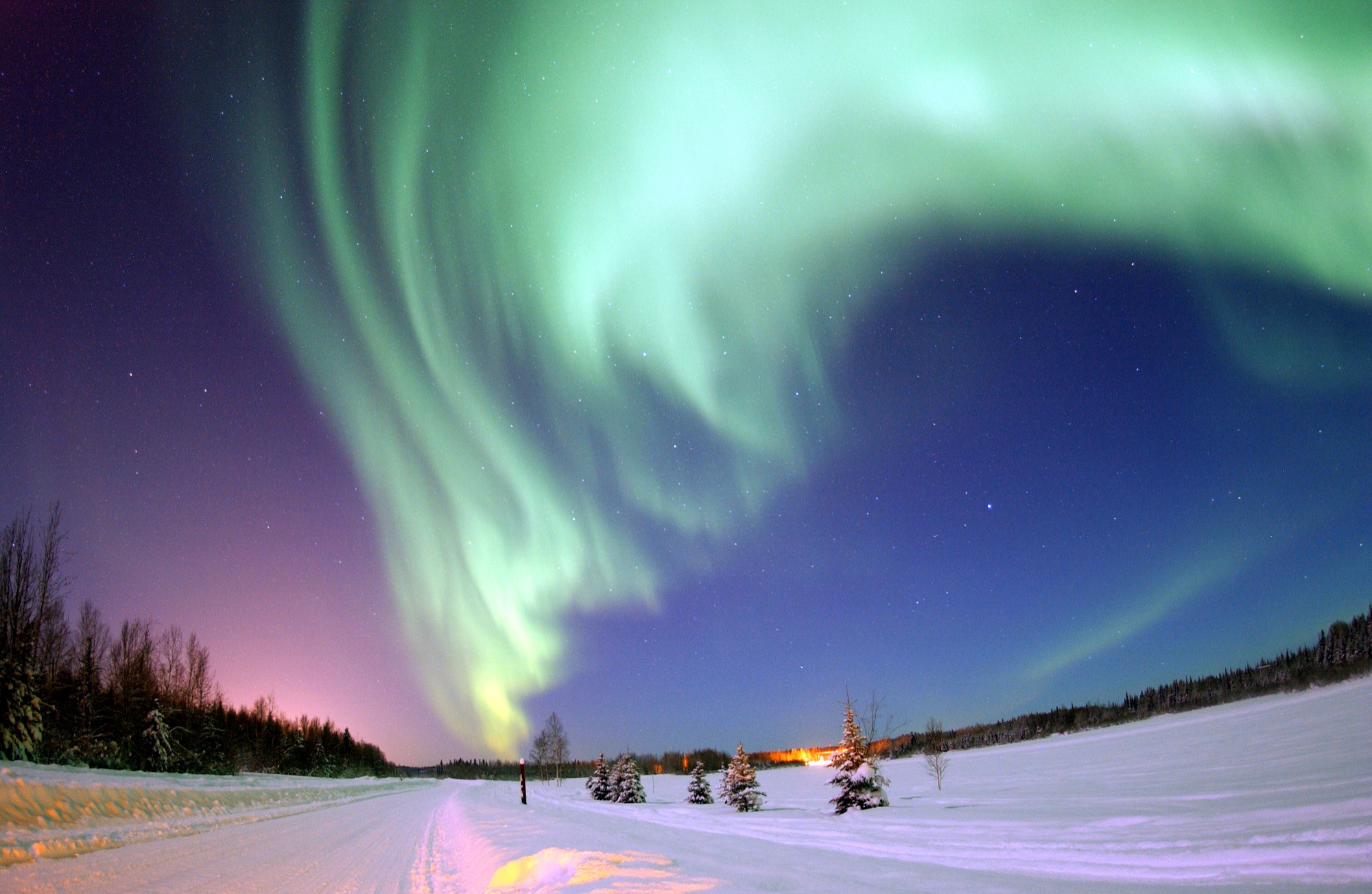 Green and violet aurora curtains over a snowy Alaskan forest and road