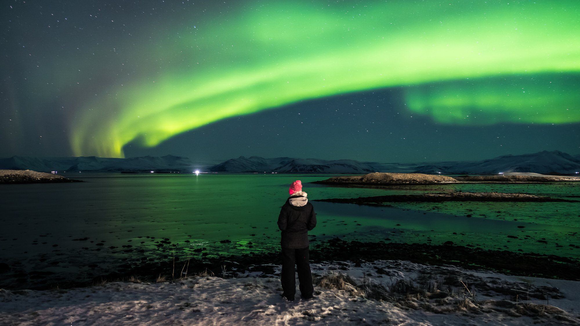 A person watching a green aurora reflected in a bay near Höfn, Iceland