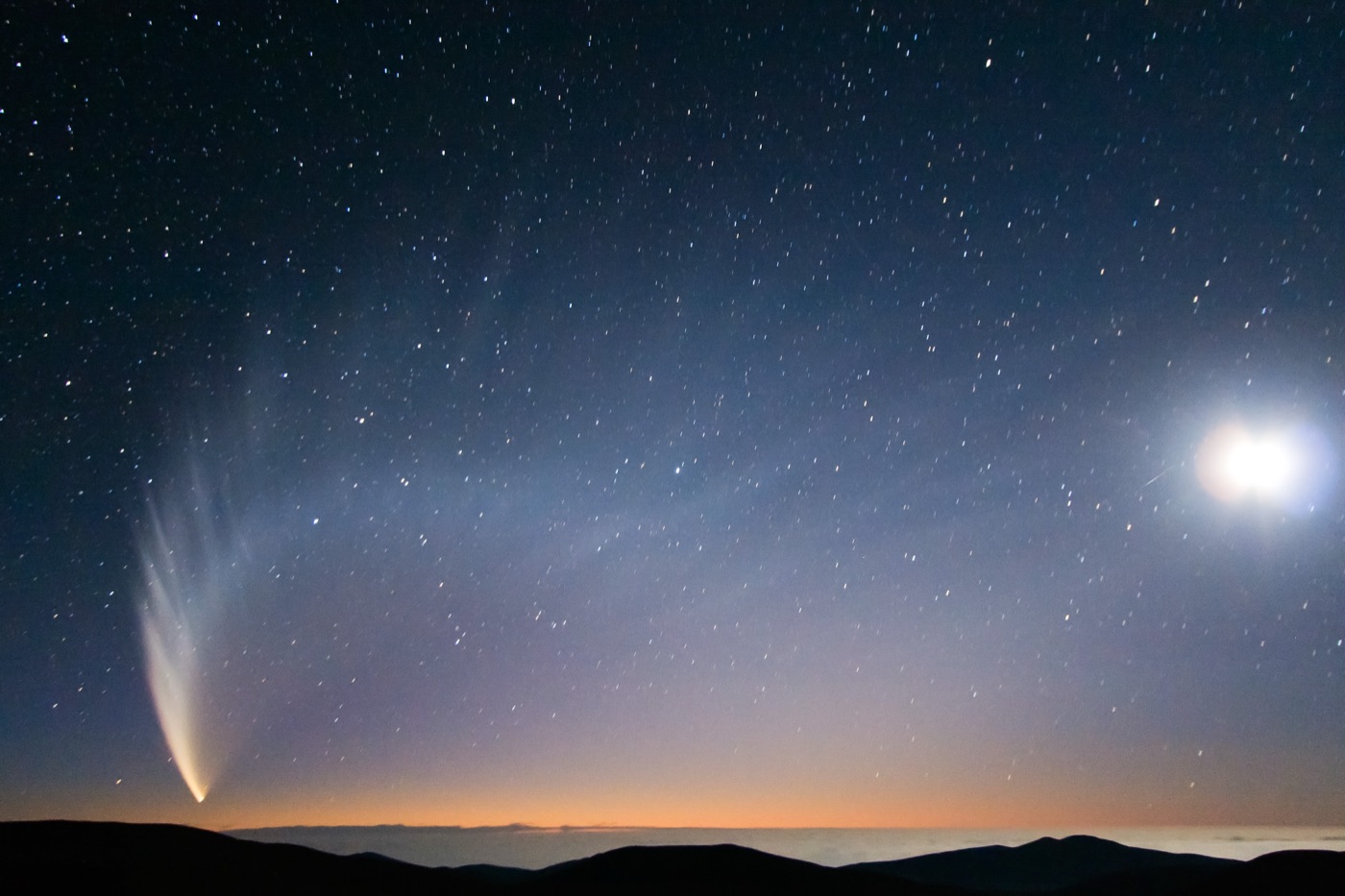 Comet McNaught