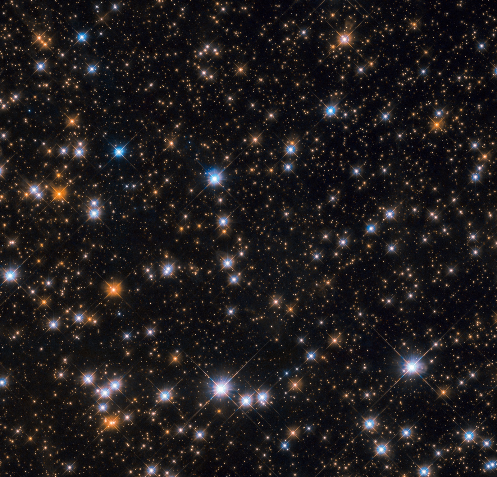 Wild Duck Cluster