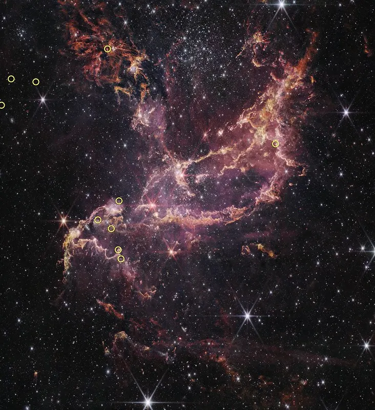 Webb Finds Planet-Forming Disks Lived Longer in Early Universe
