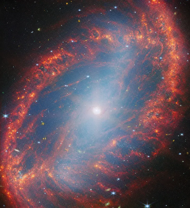 A close look at a local galaxy