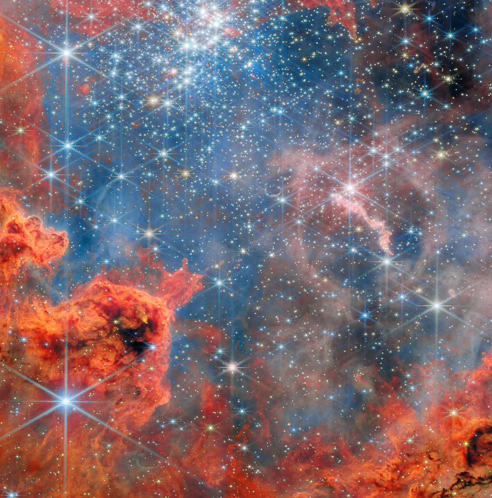 Dwarf stars in a glittering sky