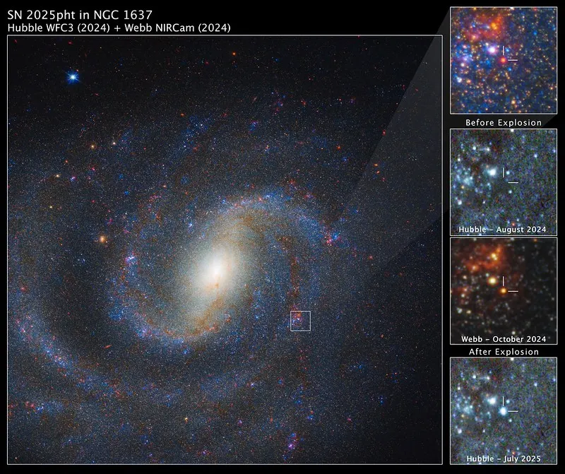 Webb Locates Former Star That Exploded as Supernova