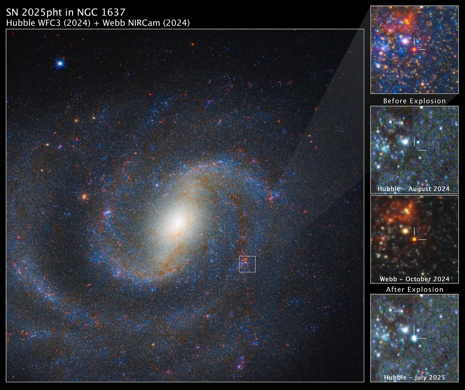 Webb Locates Former Star That Exploded as Supernova