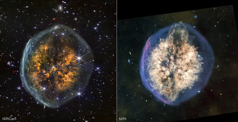 Webb Examines Cranium Nebula