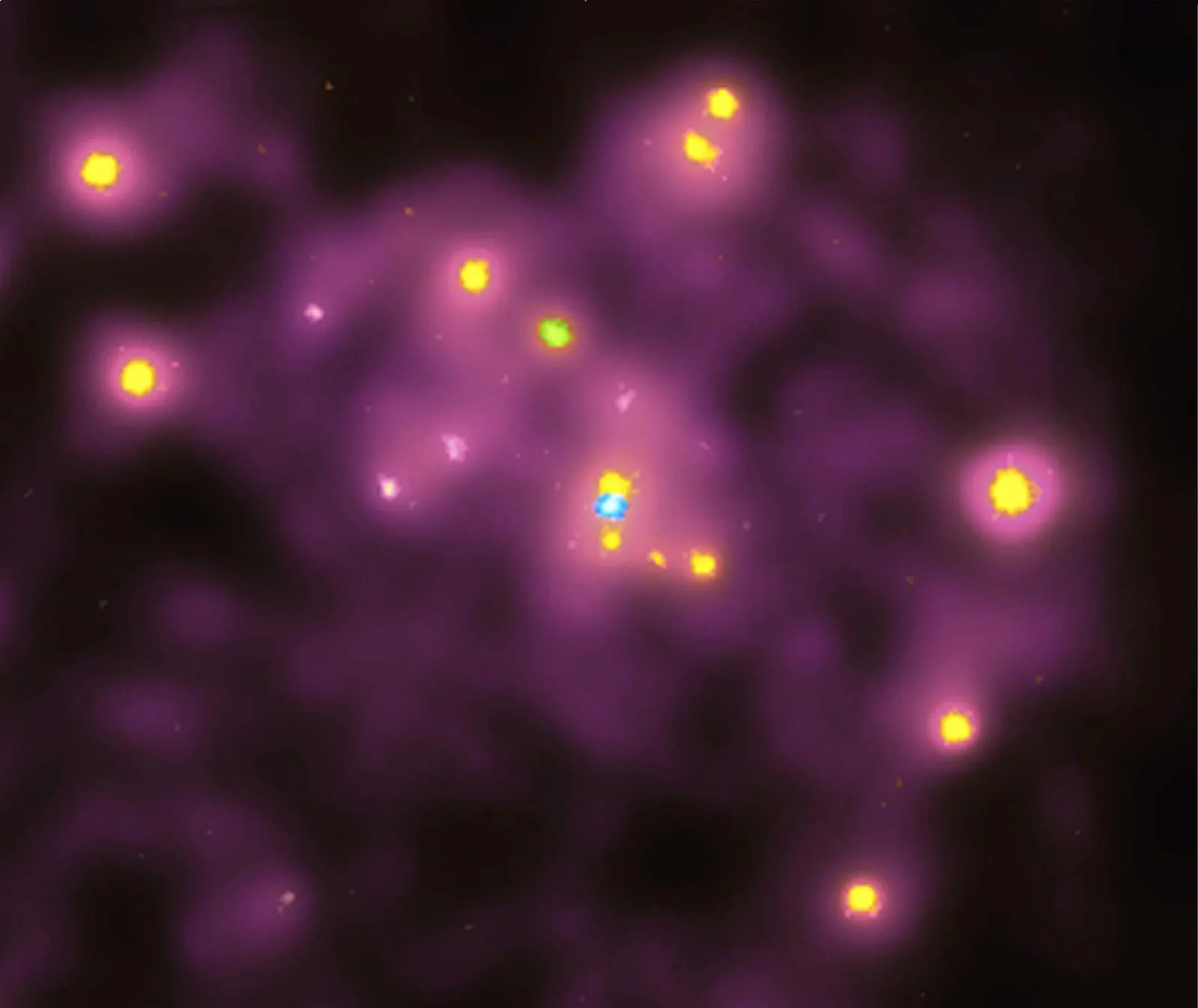 The Andromeda Galaxy M31 with its bright core, dust lanes, and satellite galaxies M32 and M110