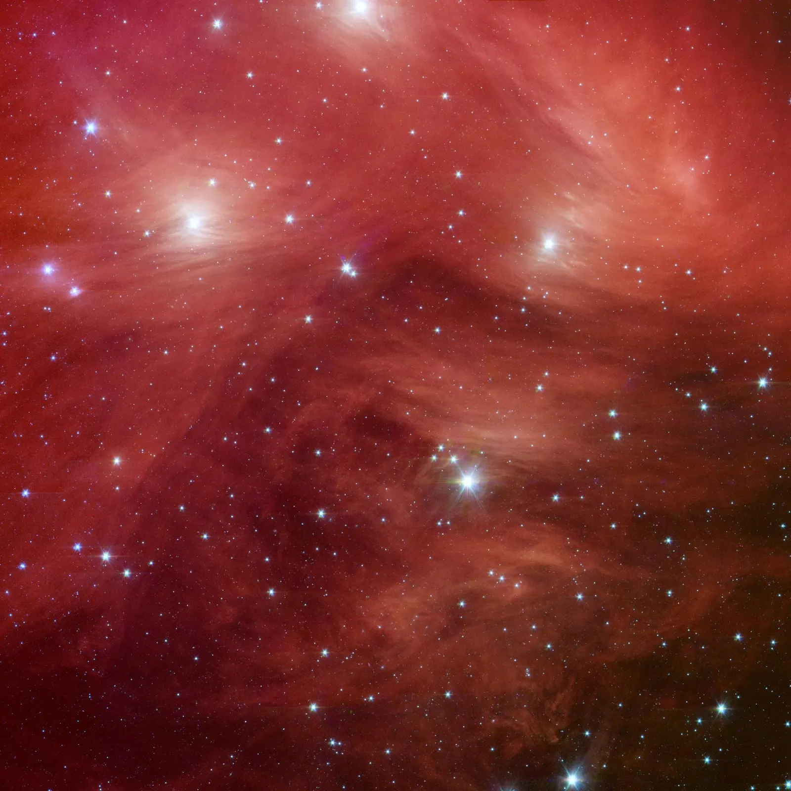 The Pleiades open star cluster M45 showing bright blue stars wreathed in faint reflection nebulosity