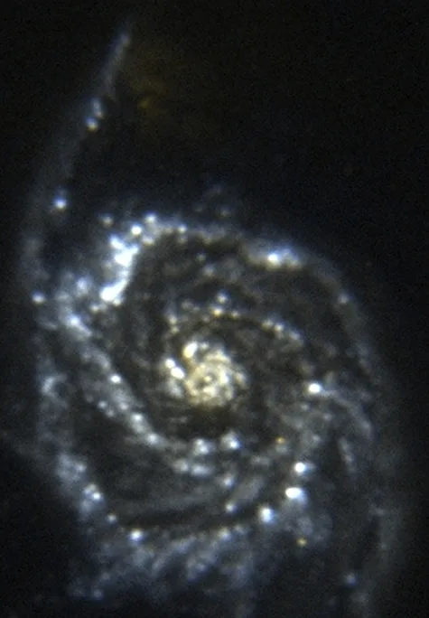 M51 (Whirlpool Galaxy) in ultraviolet — GALEX FUV imaging isolates the youngest OB stellar associations in the spiral arms, confirming that tidal compression is actively triggering new star formation throughout the disc.