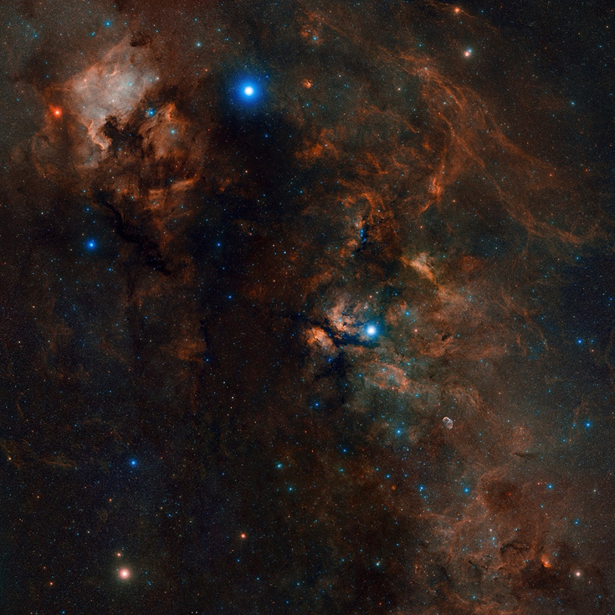 Wide-field view of northern Cygnus showing Deneb and surrounding nebulae in the Milky Way